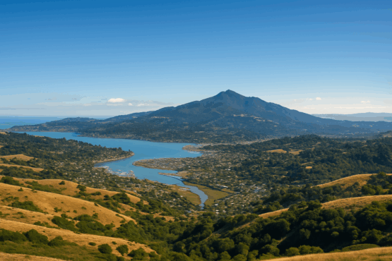 Marin